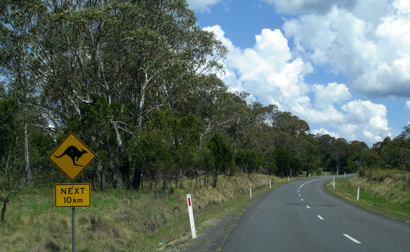 0120 Australia Day 7 1005 Highway 3 roo sign