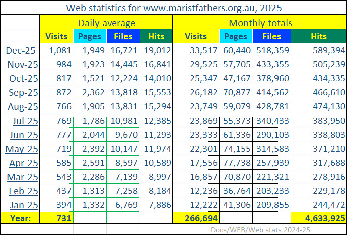 0126 Web statistics 2025
